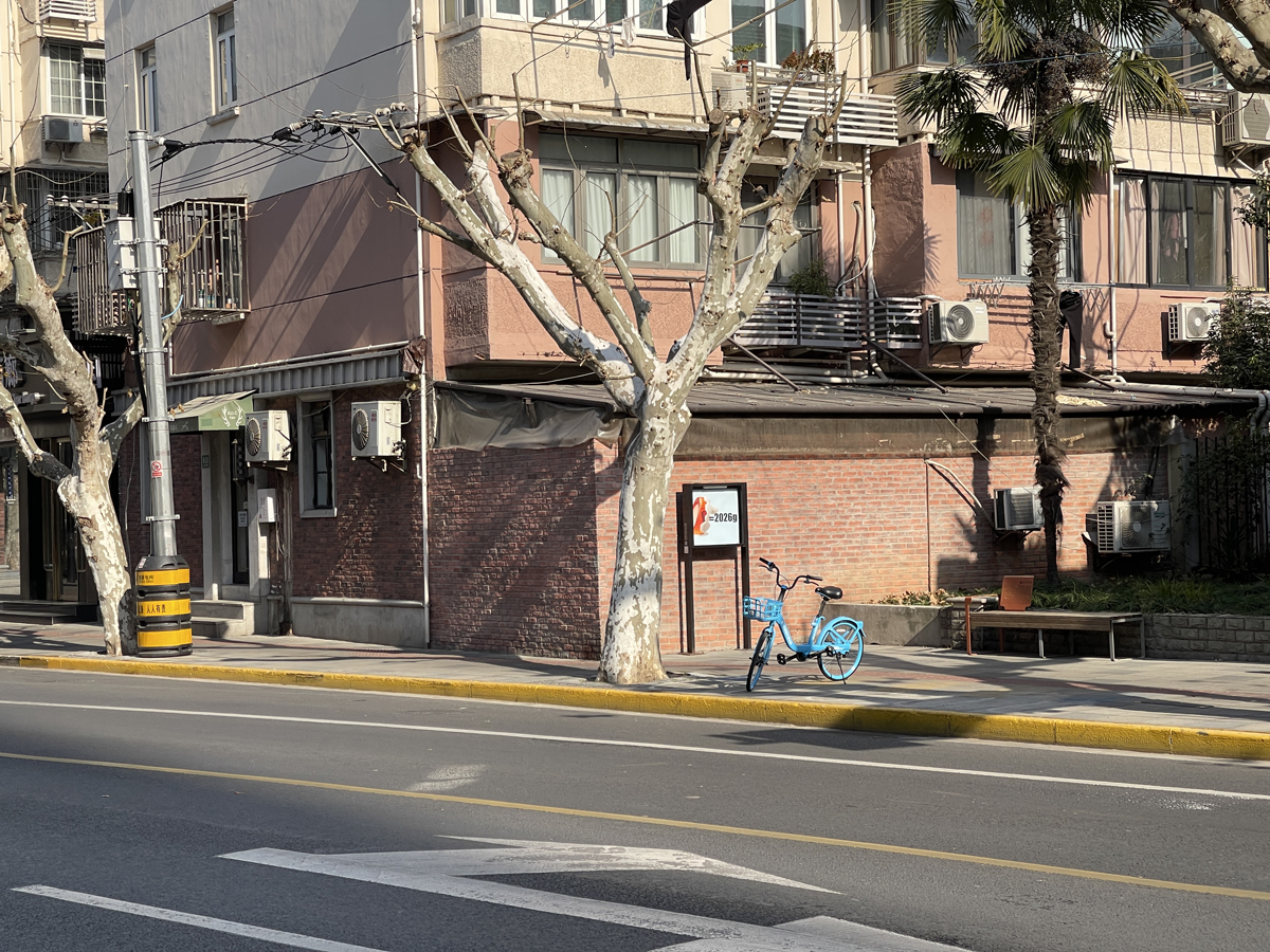 Elsa Werth, Xinhua Art Service, 2026 view5